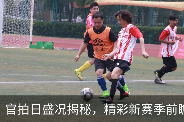官拍日盛况揭秘，精彩新赛季前瞻